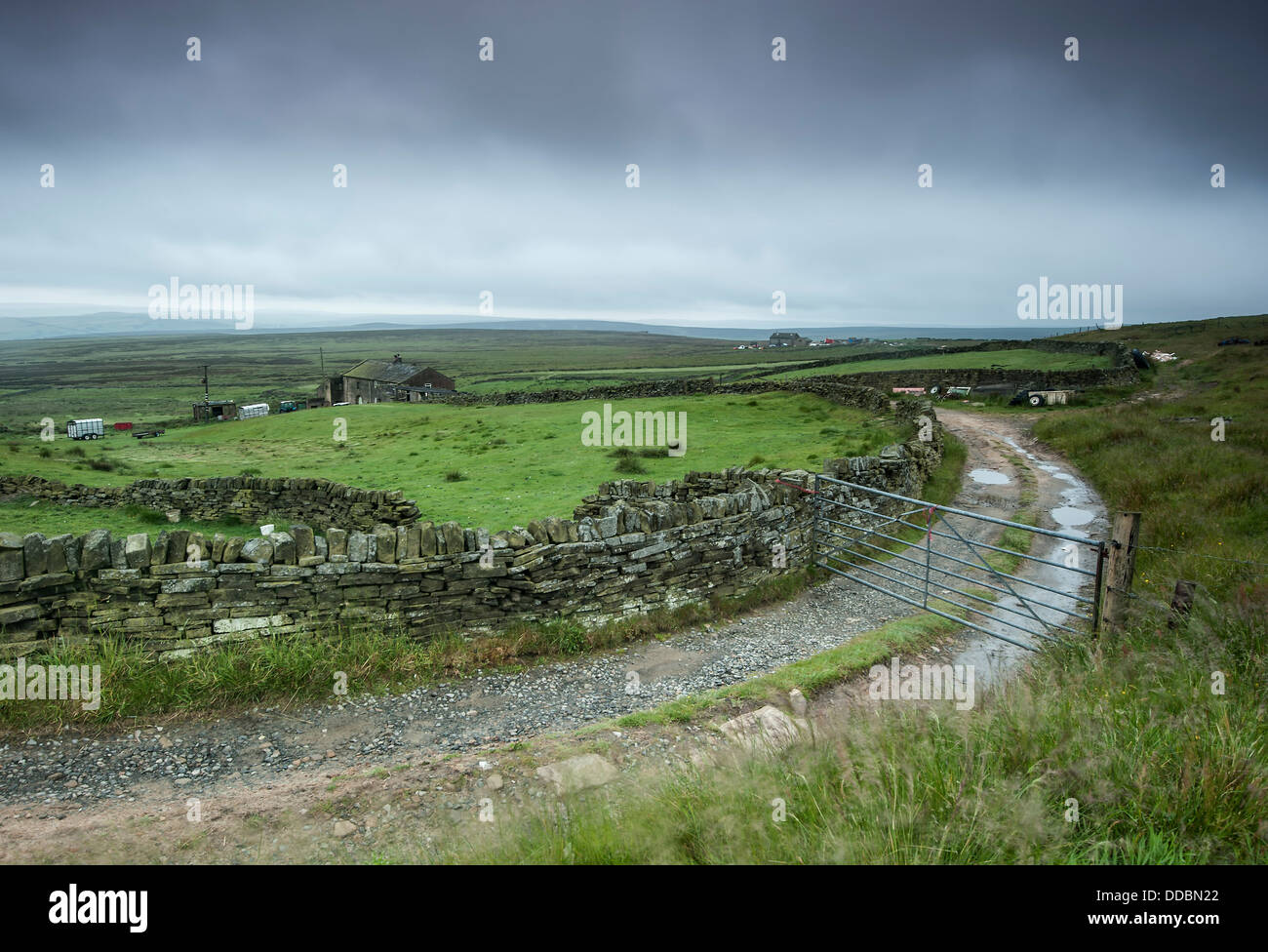 Une ferme des landes du Yorkshire et la voie photographié sur un jour d'automne pluvieux Généralement nuageux. Banque D'Images