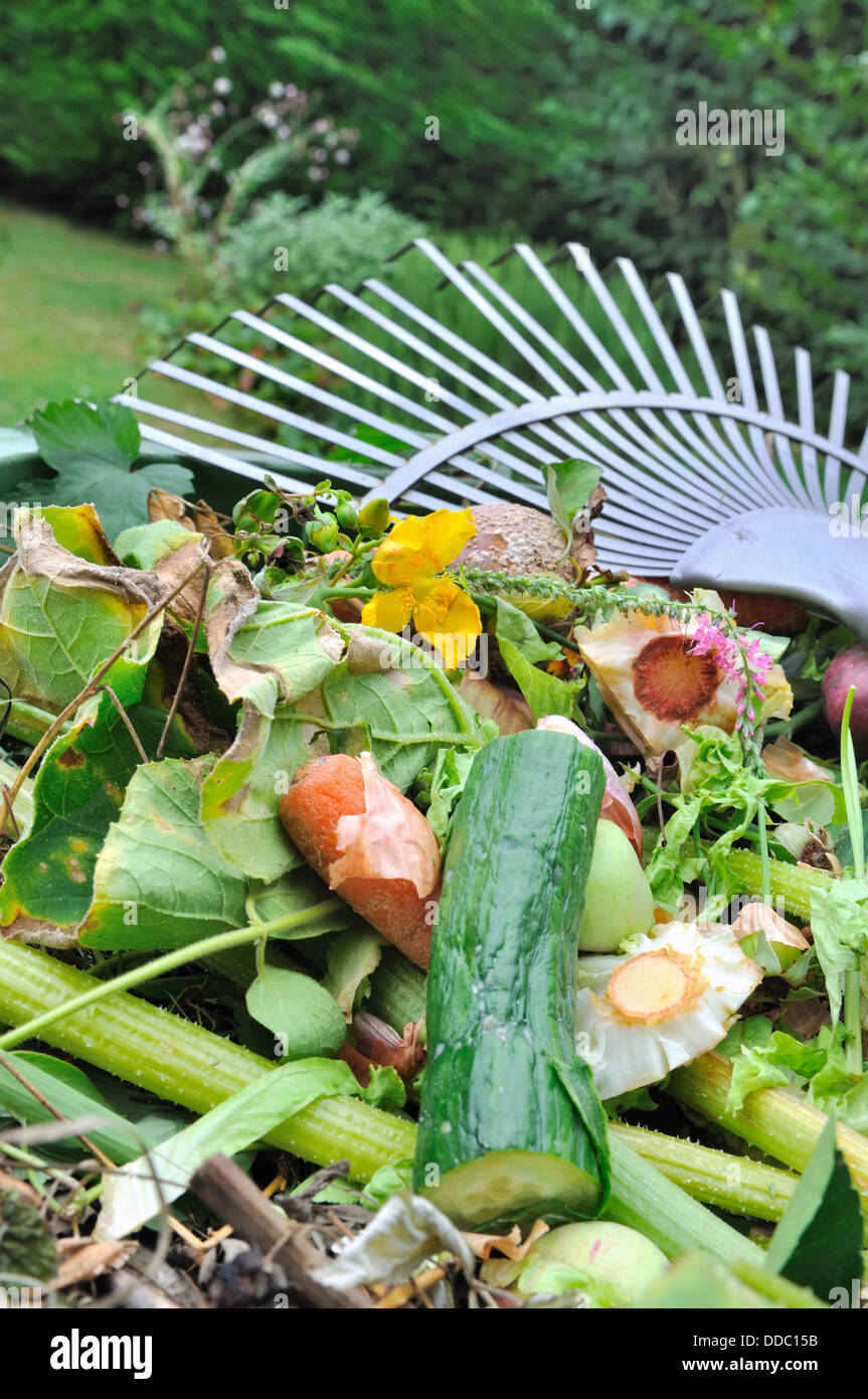 Composé de déchets déchets ménagers et des plantes dans un bac Banque D'Images