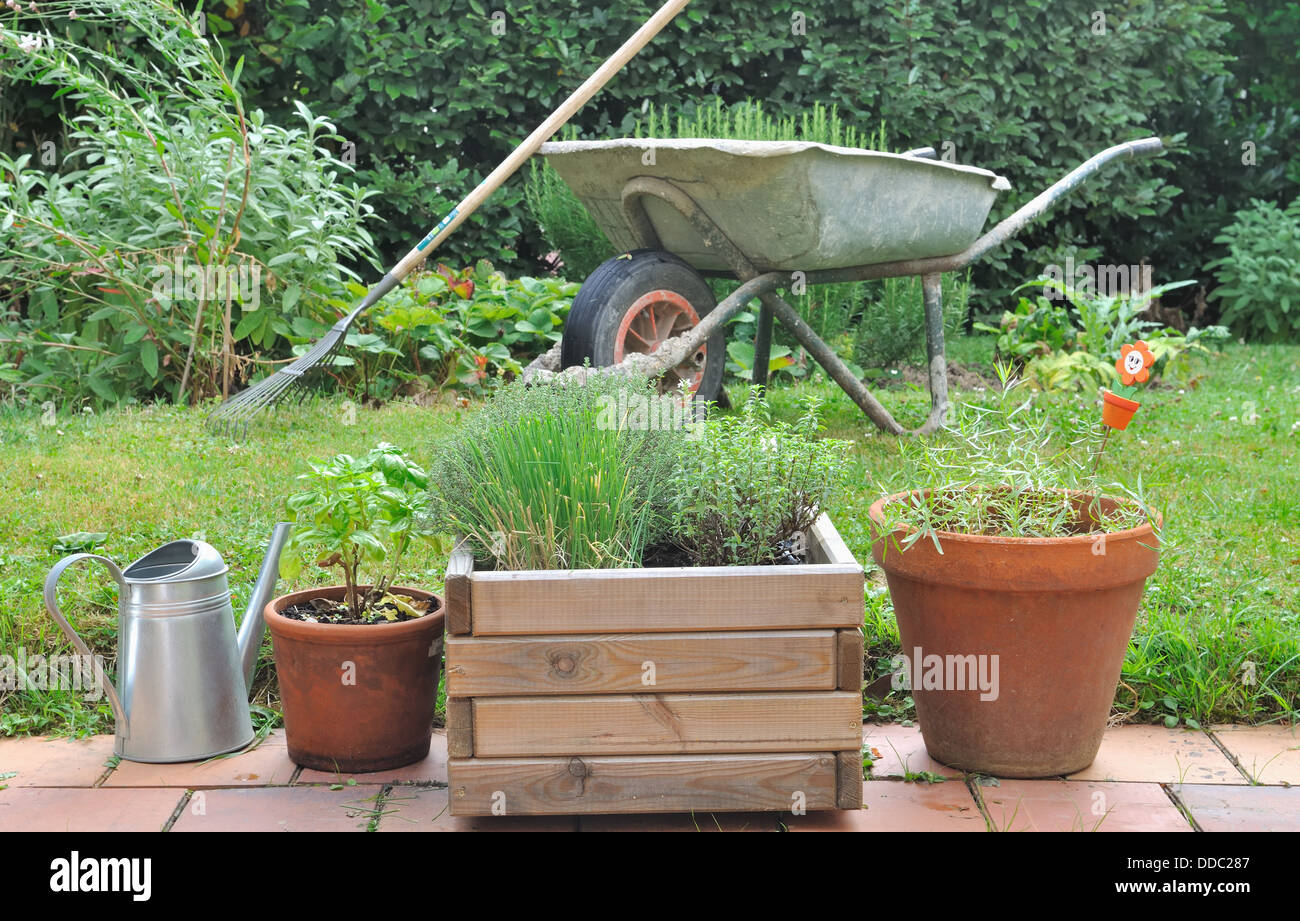 Différentes plantes en pot placé sur une terrasse Banque D'Images