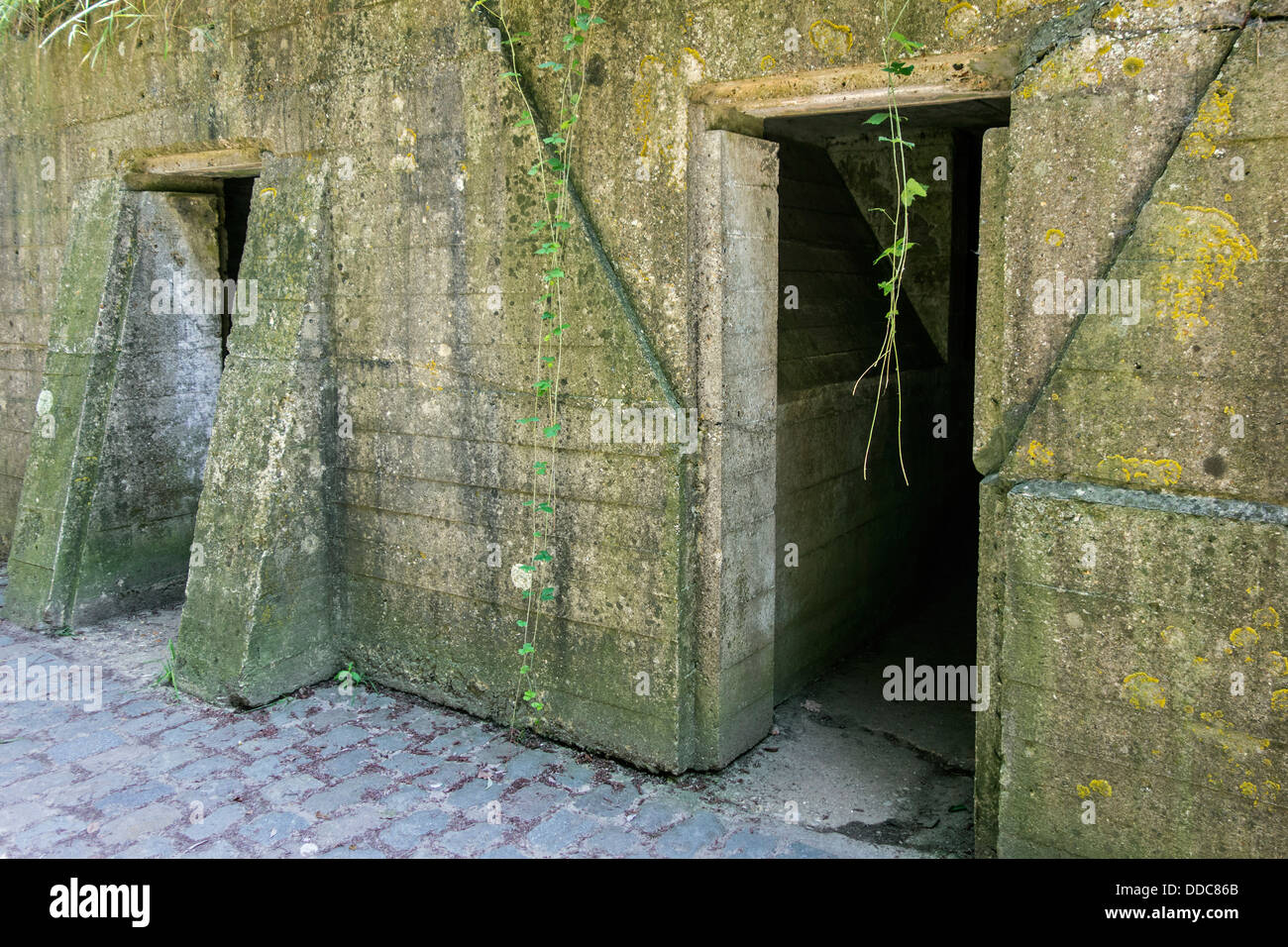 Première Guerre mondiale, un poste de secours avancé / ADS bunkers à la WW1 site de John McCrae Près d'Ypres, Flandre occidentale, Belgique Banque D'Images