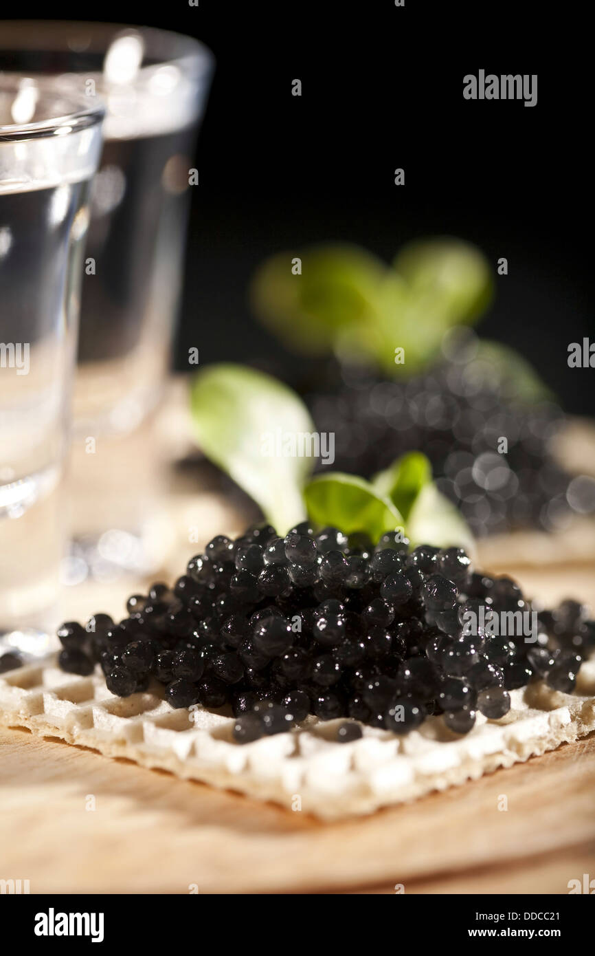 Servi place setting : la vodka et des sandwiches avec du caviar noir sur fond noir Banque D'Images