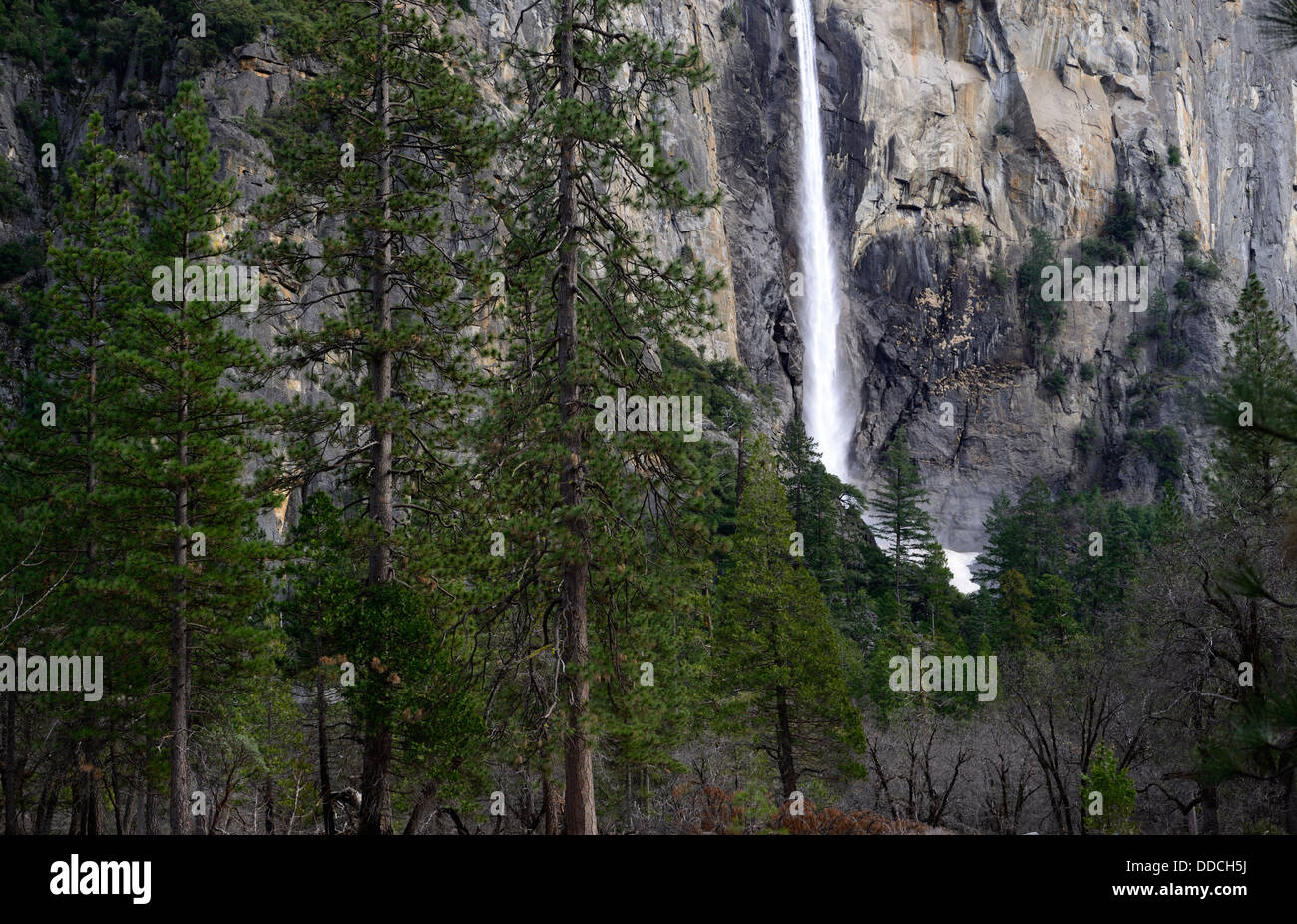 Bridalveil Falls vallée suspendue la vallée Yosemite National Park California Banque D'Images