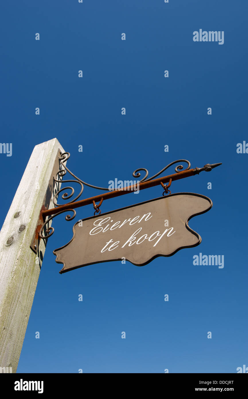 Pour la vente des œufs néerlandais Banque D'Images