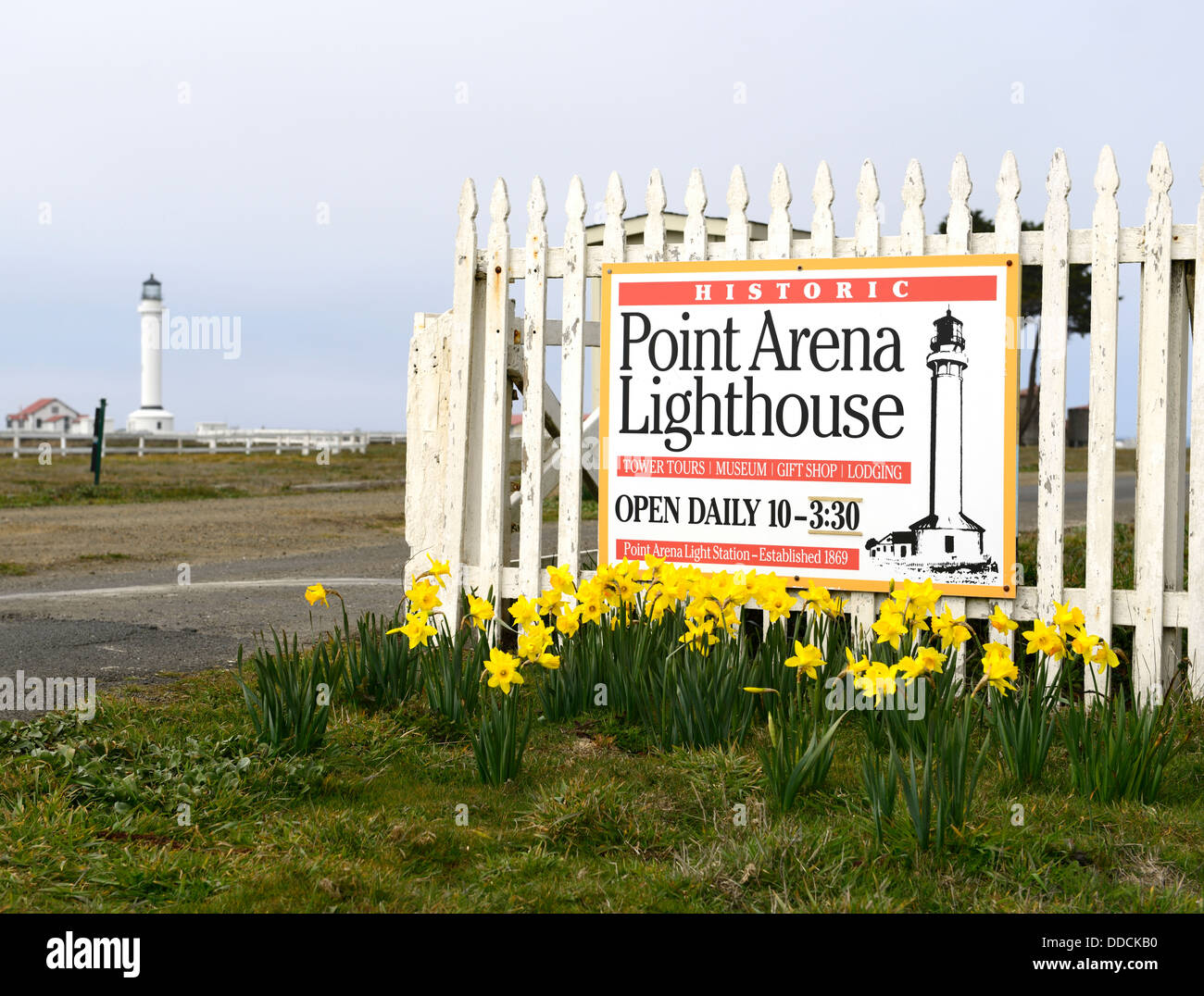 Panneau d'entrée phare Point Arena jonquilles printemps Mendocino Coast northern California USA Banque D'Images