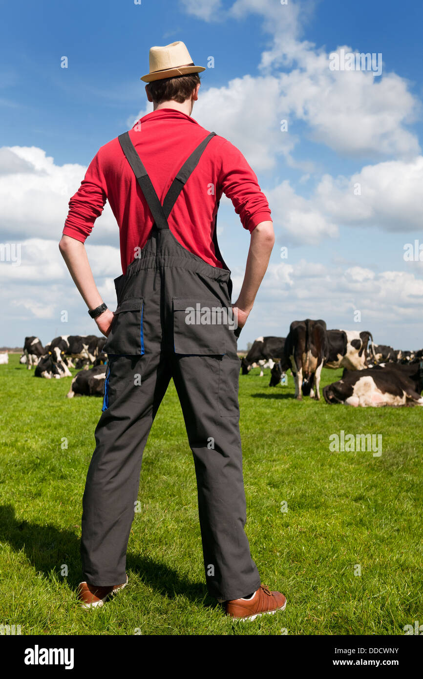 Paysage typiquement hollandais avec le fermier et les vaches Banque D'Images
