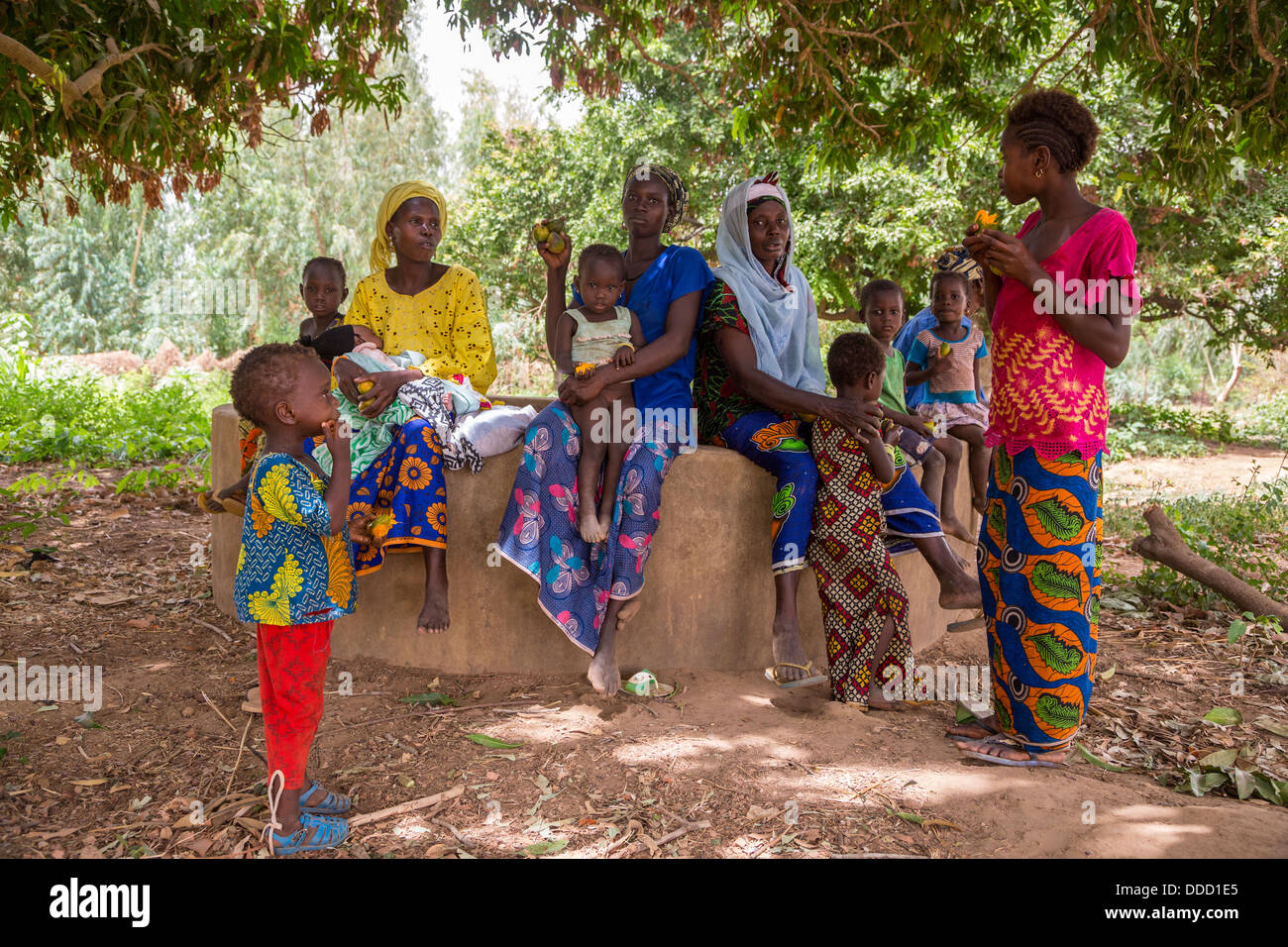 Wolof Les femmes et les enfants. Projet d'Horticulture Dialacouna, près de Kaolack, Sénégal. Un projet Africare. Banque D'Images