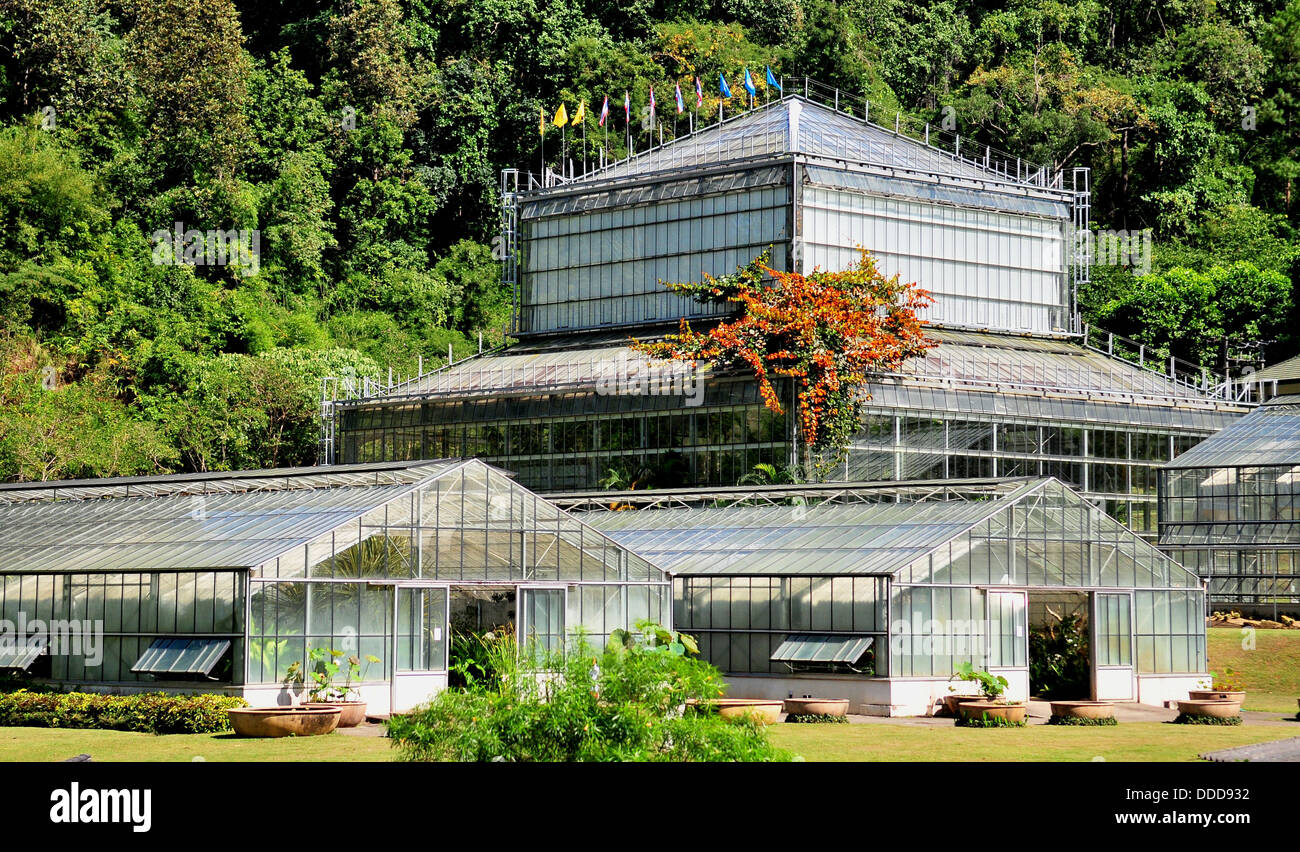 Le Jardin botanique de la reine Sirikit dans Amphoe Mae Rim, la province de Chiang Mai dans le Nord de la Thaïlande Banque D'Images