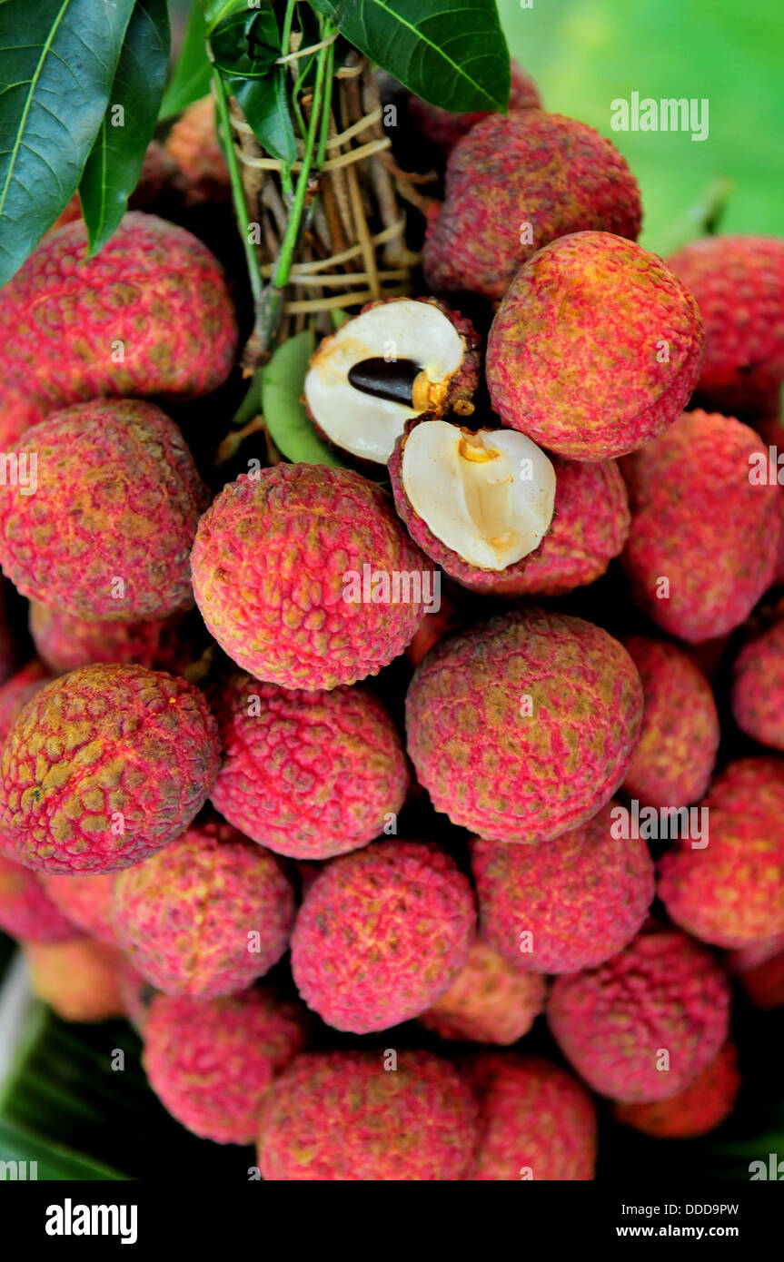 Fruits thaï : un ensemble de produits frais fruits litchi (Litchi chinensis) Banque D'Images