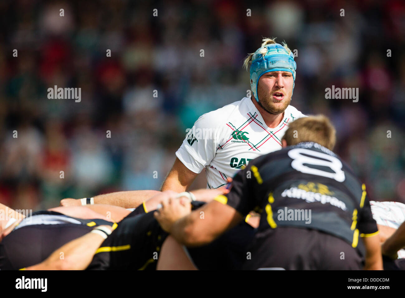 LEICESTER, UK - Samedi 31 août 2013. Le Jordan Crane observe tandis que l'attente d'une mêlée ordonnée à la forme. L'action de l'avant-saison friendly entre Leicester Tigers et Ulster joué à Welford Road, Leicester. Credit : Graham Wilson/Alamy Live News Banque D'Images