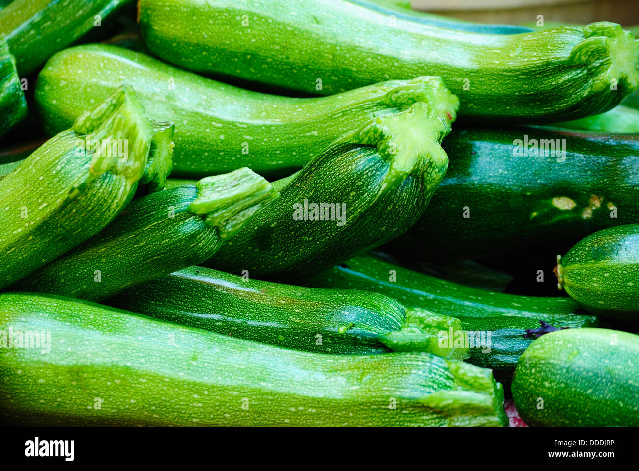 Les courgettes à la vente à la vieille ville d'Alexandria en Virginie farmers market Banque D'Images