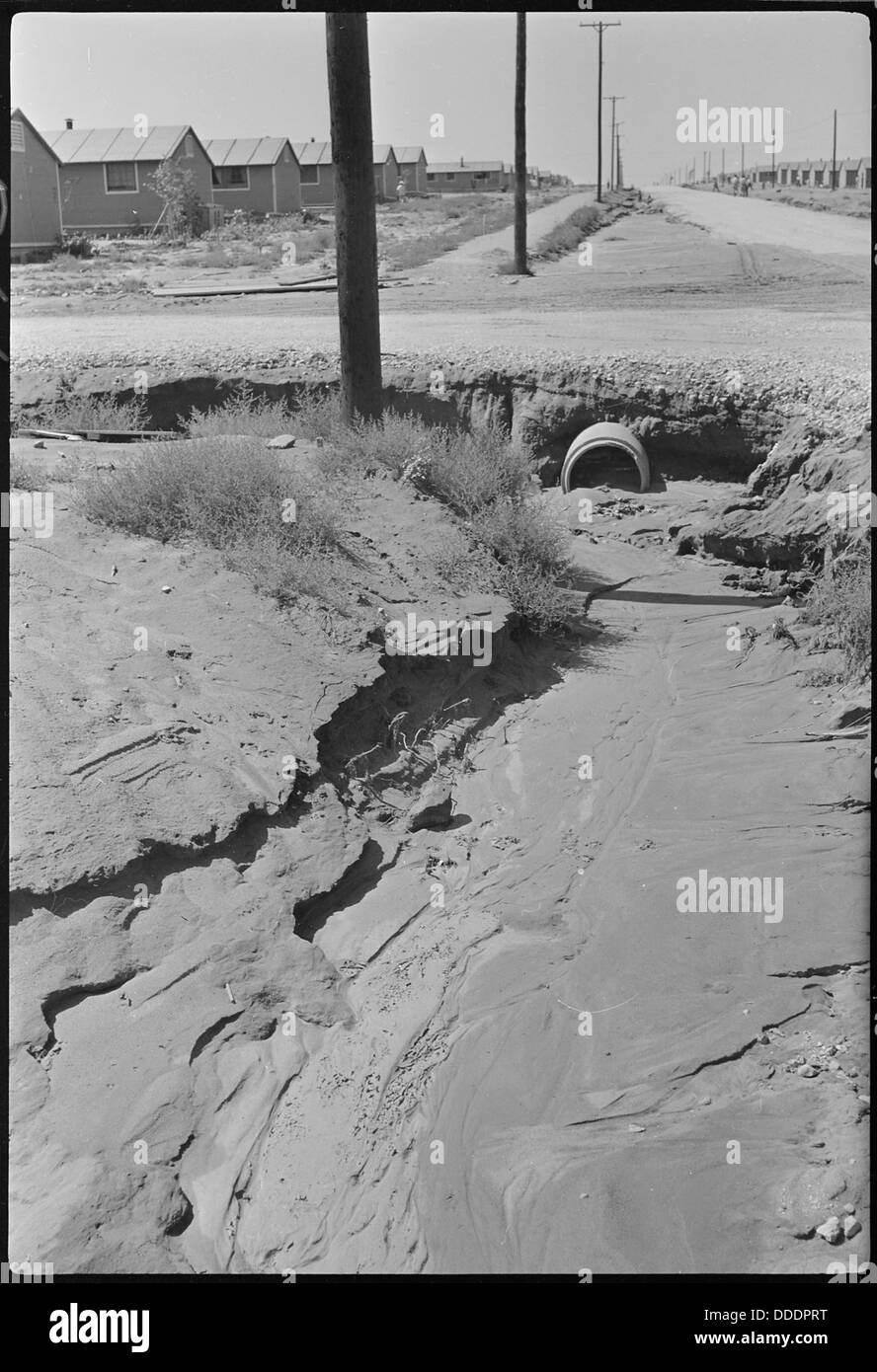 Cette photographie montre les dommages causés par les inondations sur la rue G au Granada Relocation Center (Amache) dans le Colorado. Le centre, l'un des camps d'internement pendant la seconde Guerre mondiale, a subi d'importants dommages liés aux conditions météorologiques pendant son fonctionnement. Banque D'Images