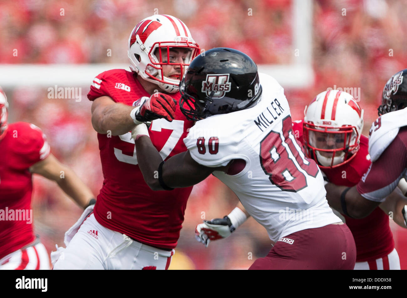 July 30, 2013 - Madison, Wisconsin, United States of America - 31 août 2013 : Wisconsin Badgers linebacker Brendan Kelly # 97 dispute autour de UMass Minutemen tight end Ricardo Miller # 80 au cours de la NCAA Football match entre l'UMass Minutemen et le Wisconsin Badgers au Camp Randall Stadium à Madison, WI. Le Wisconsin a défait UMass 45-0. John Fisher/CSM. Banque D'Images