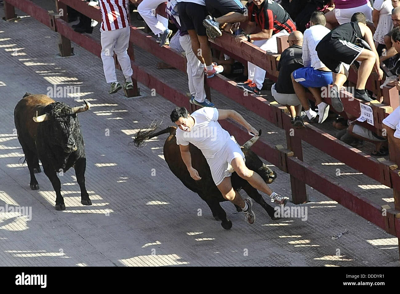 Sierlauf auf der Plaza de Toros. Beim Stierlauf reibt Stiere man durch eine Stadt in eine bestimmte Richtung, meist zur Stierkampfarena. Dazu werden an den Einmündungen Seitenstraßen der Barrikaden aufgestellt, damit die nicht von der Hauptroute Stiere abweichen können. Durch schmale Öffnungen können die menschlichen Teilnehmer des Stierlaufs auf die Straße treten, die ihnen vor oder Stiere treiben und laufen sa sich auch wieder in Sicherheit bringen. Alcalá de Henares, 30.08.2013 Banque D'Images