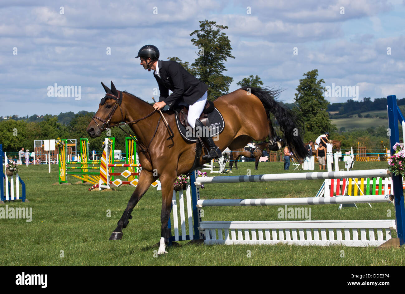 Equestrian horse show jumping à Weedon Buck's County show. Un cavalier sautant une clôture. Banque D'Images