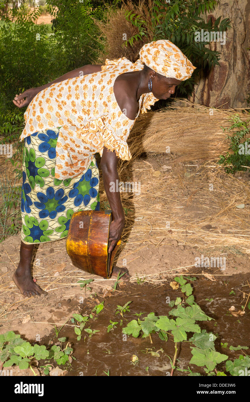 Wolof femme l'arrosage des plantes. Projet d'Horticulture Dialacouna, près de Kaolack, Sénégal. Un projet Africare. Banque D'Images