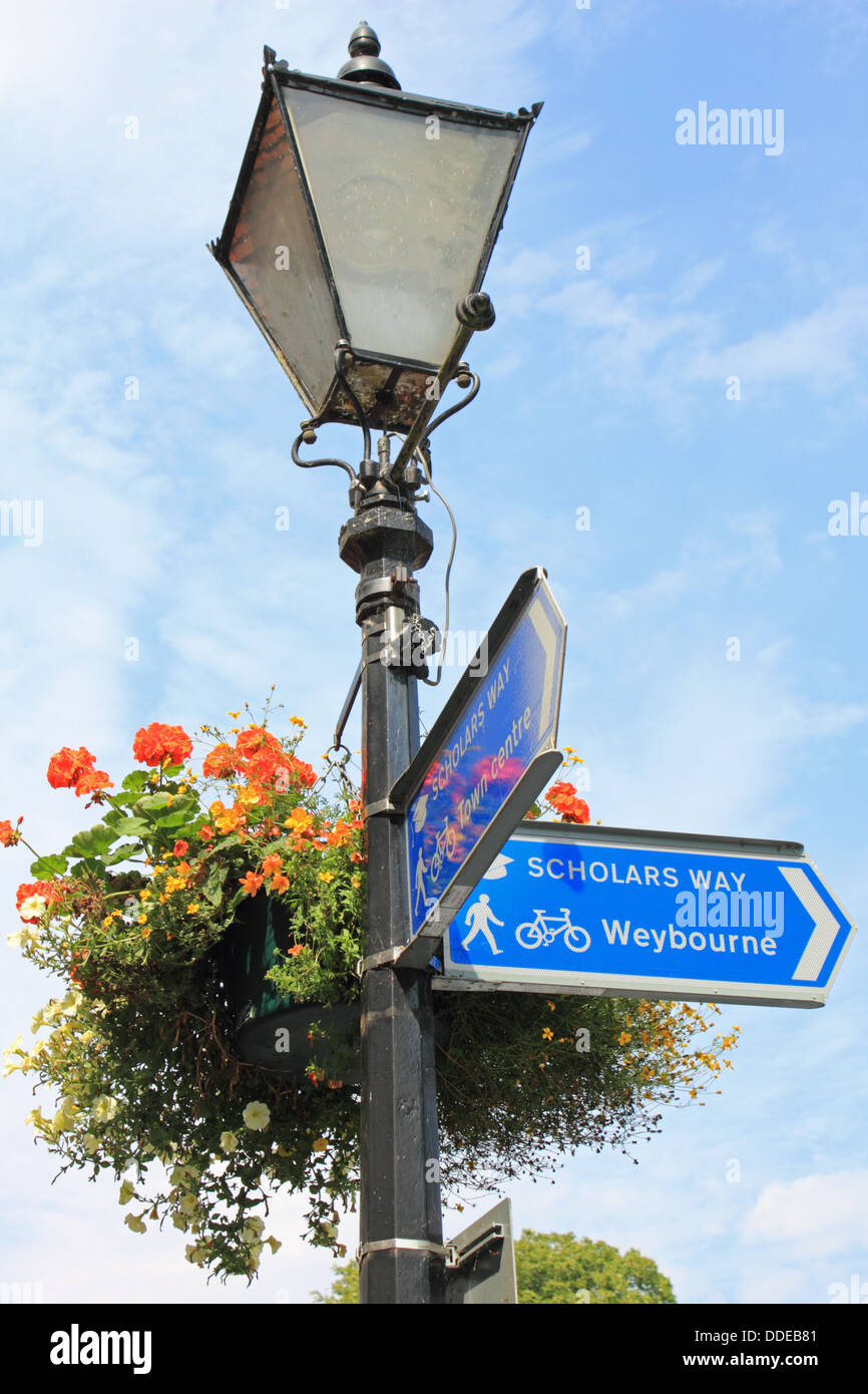 Les randonnées à vélo dans la région de Farnham, Surrey, Angleterre, Royaume-Uni. Banque D'Images
