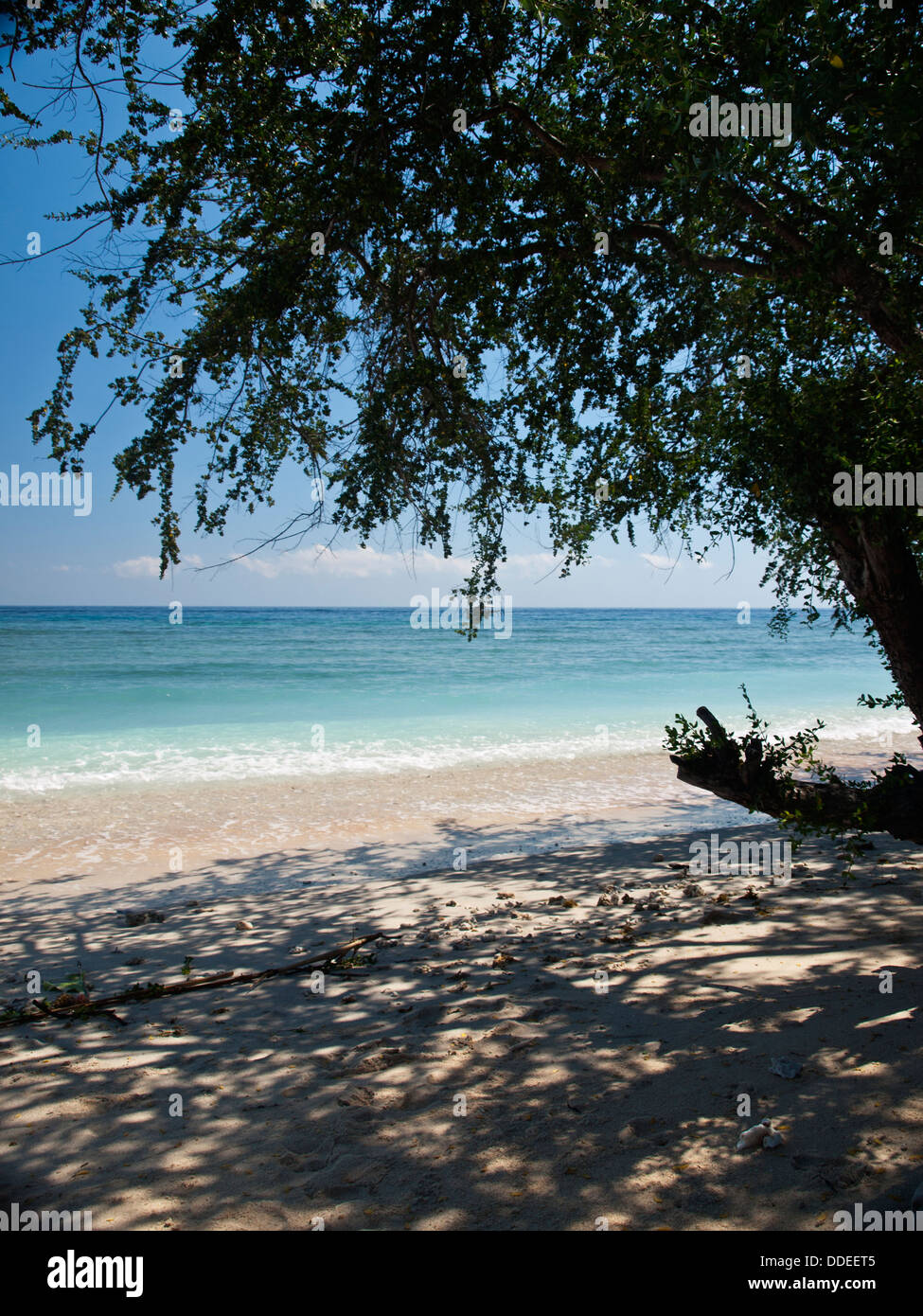 Mer plage tropicale avec arbre et c'est ombre dans le sable Banque D'Images