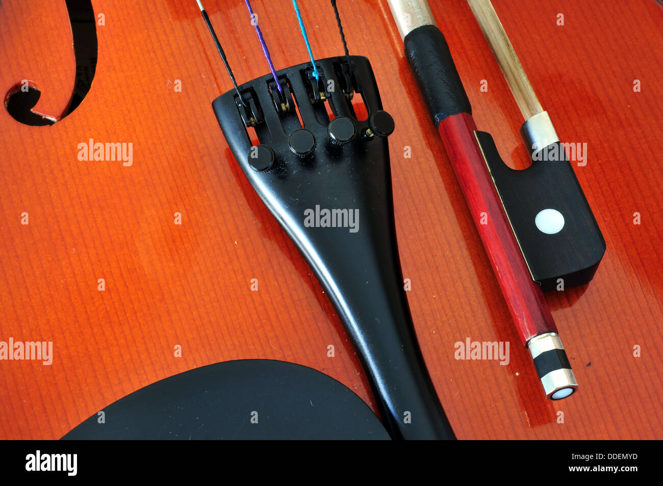 Viola Détail montrant des f-trous, le cordier avec des tuners, et mentonnière grenouille bow Banque D'Images