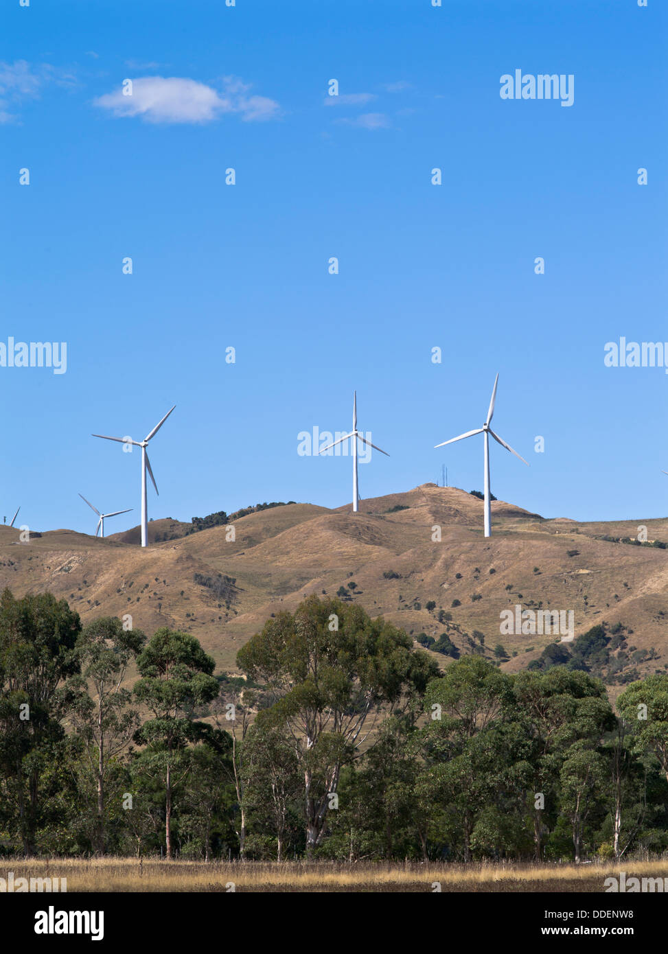 L'ÉNERGIE ÉOLIENNE Parc éolien dh te Apiti d'éoliennes près de Manawatu gorge Ashhurst Nouvelle-zélande Banque D'Images
