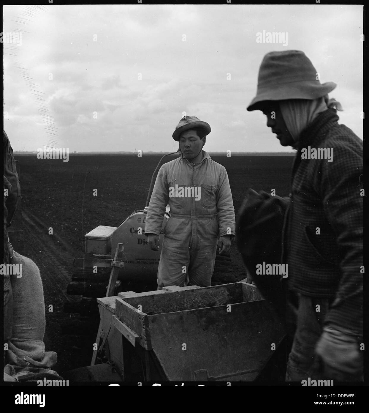 Près de Stockton, en Californie. Les ouvriers agricoles d'origine japonaise sur la société à grande échelle dans la ferme. . . 537596 Banque D'Images