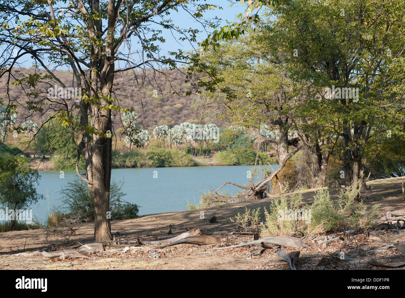 La rivière Kunene en Namibie est le fleuve frontière avec l'Angola Banque D'Images
