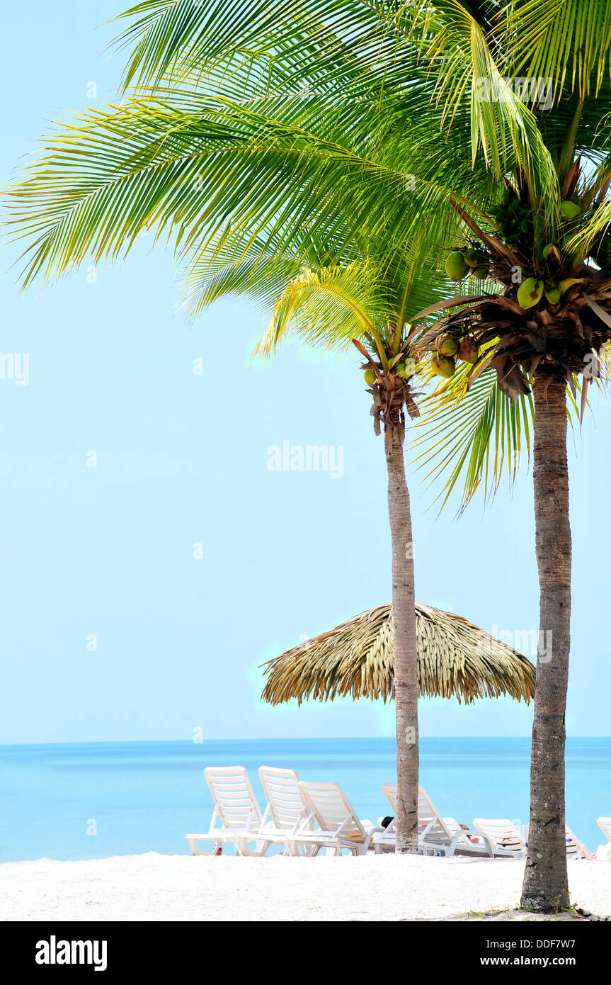 Belle plage tropicale avec palmiers et des huttes Banque D'Images