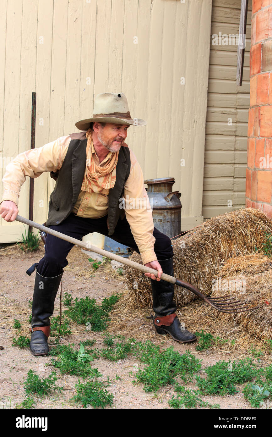 Un éleveur travaille sur sa corvée de renflouer sa grange à foin Banque D'Images