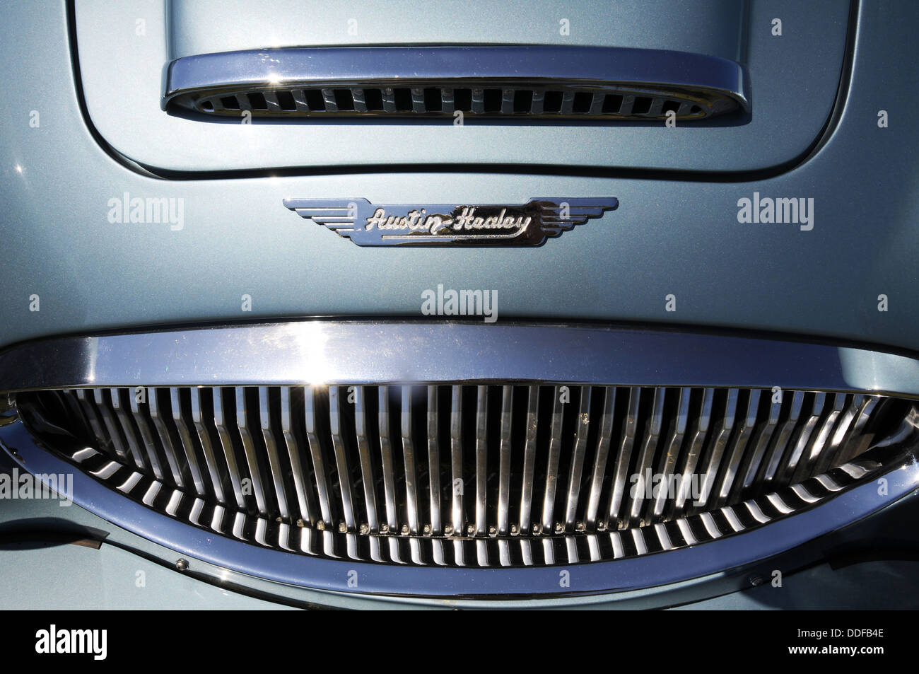 Austin-Healey voiture classique, Austin Healey de badge Banque D'Images