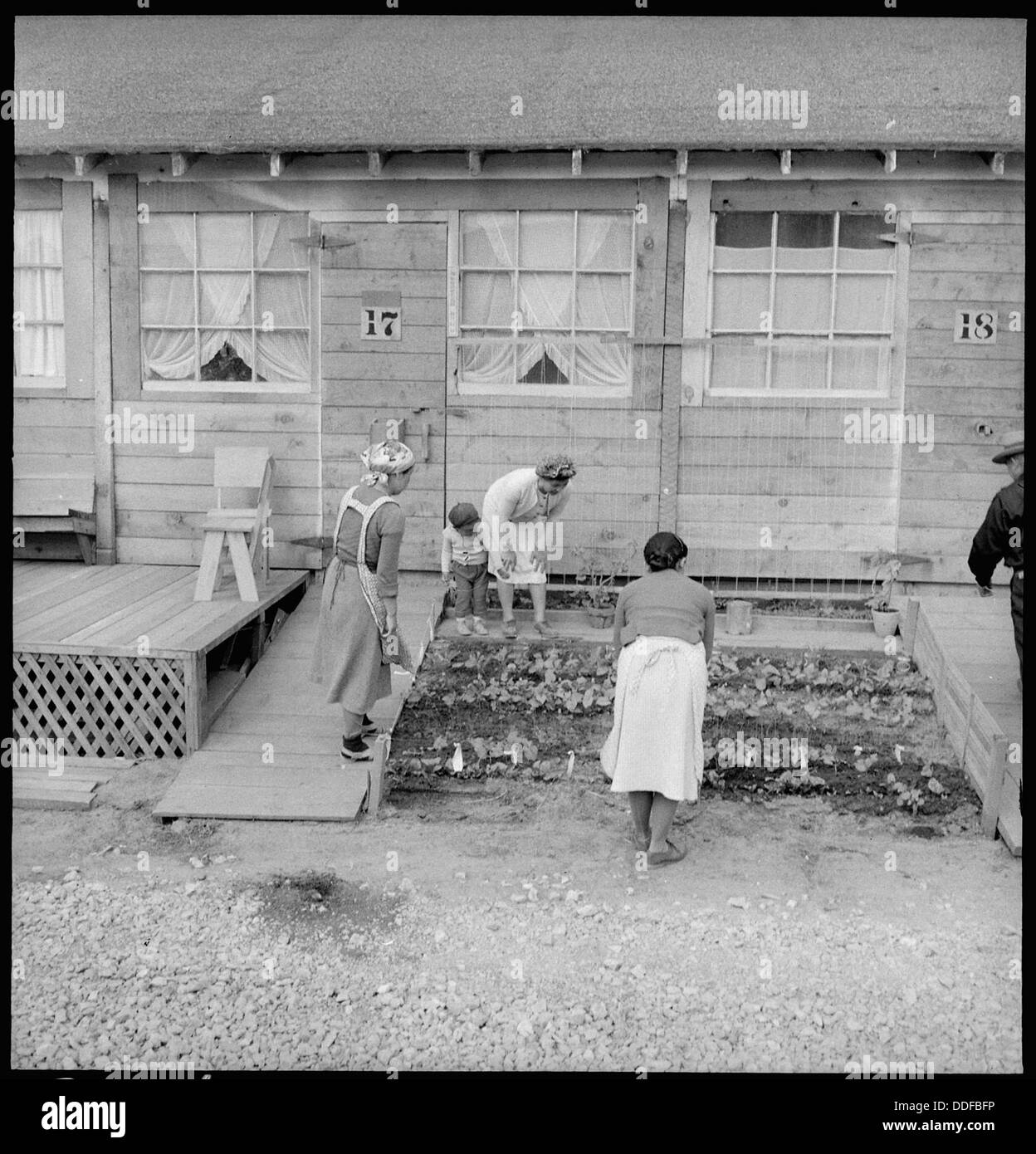 Les membres de la famille Fujita à San Bruno, en Californie, inspectent leur petit potager, reflétant l’importance du jardinage domestique dans la vie urbaine. Banque D'Images