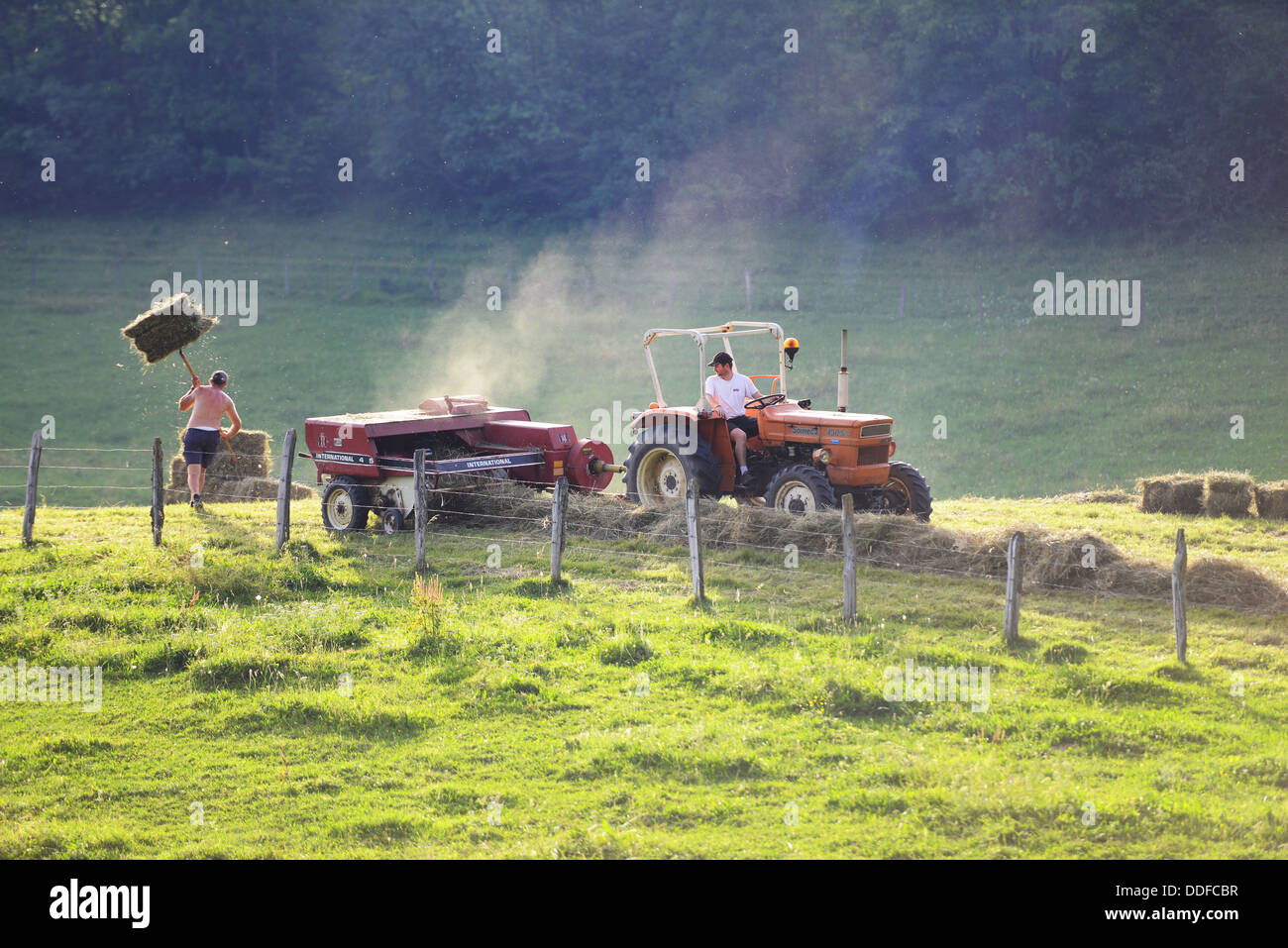 La mise en balles de foin, de tracteur la collecte et le foin dans une ferme en France Banque D'Images