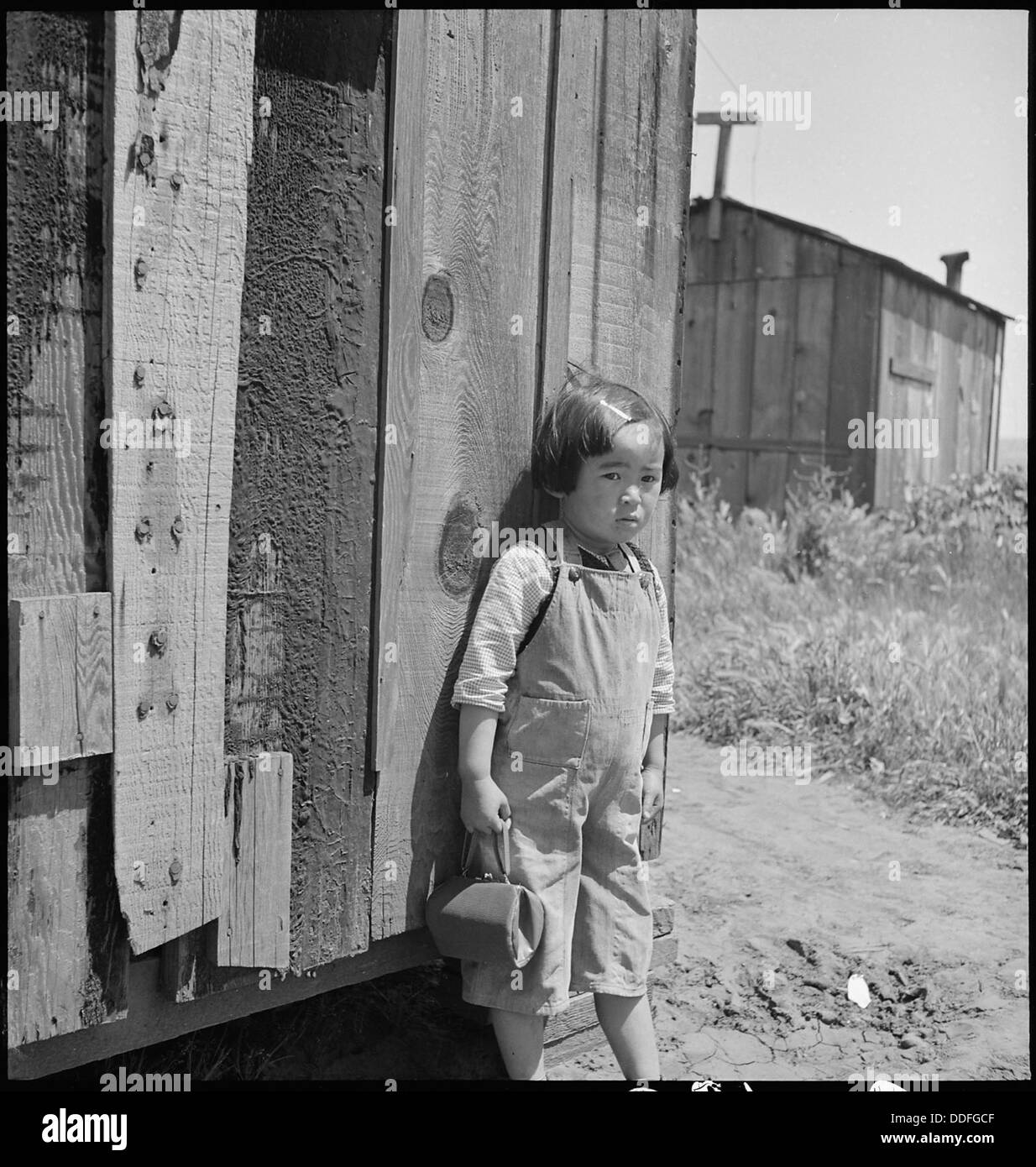 San Lorenzo, en Californie. Une ferme jeune photographié deux jours avant l'évacuation des personnes de charmantes hôtesses japonaises . . . 537538 Banque D'Images