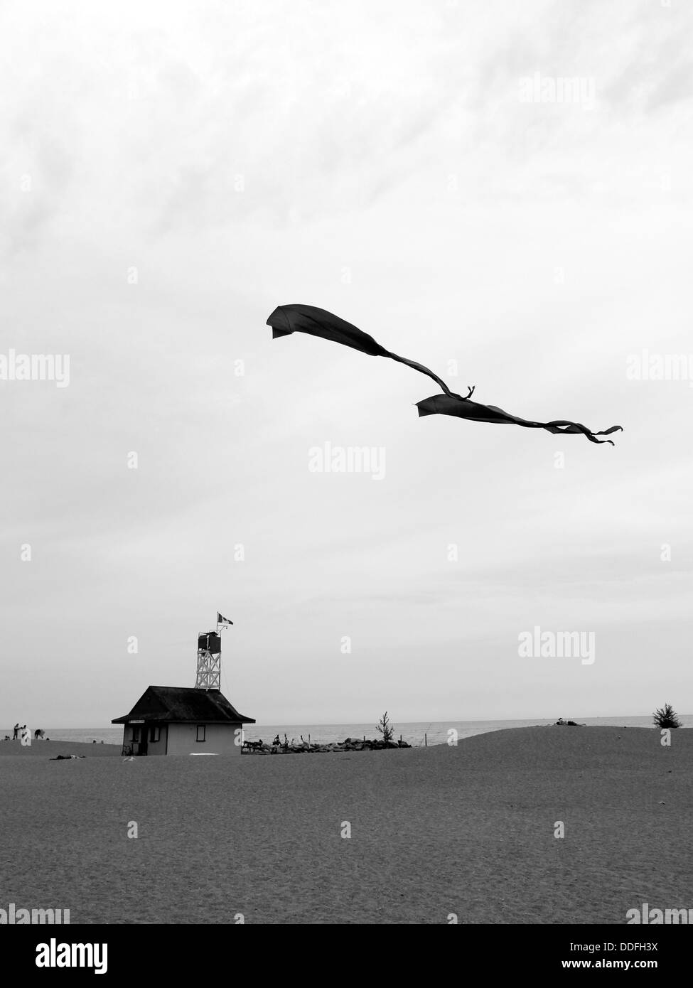 Kites survolant une plage sur le lac Ontario Banque D'Images