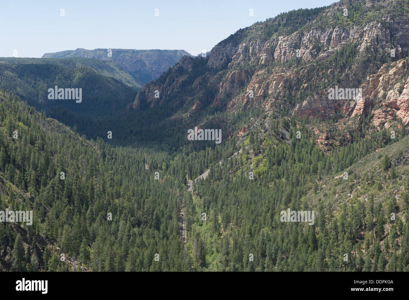 Arizona Sedona de plateaux et montagnes couvertes d'arbres Banque D'Images