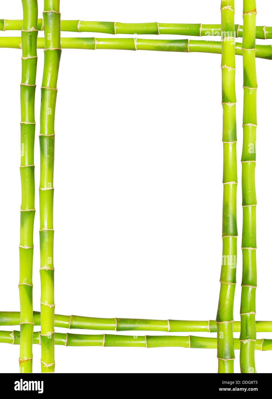 armature en bambou Banque D'Images