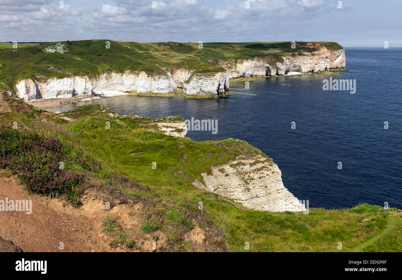 Les falaises de craie, Flamborough Head, Yorkshire, UK. Banque D'Images