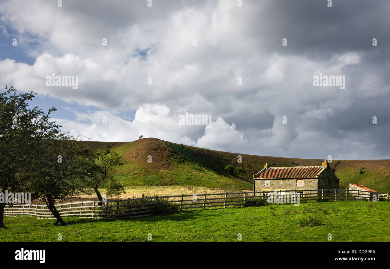 Ferme désaffectée dans le trou de Horcum, Goathland, Yorkshire, UK. Banque D'Images