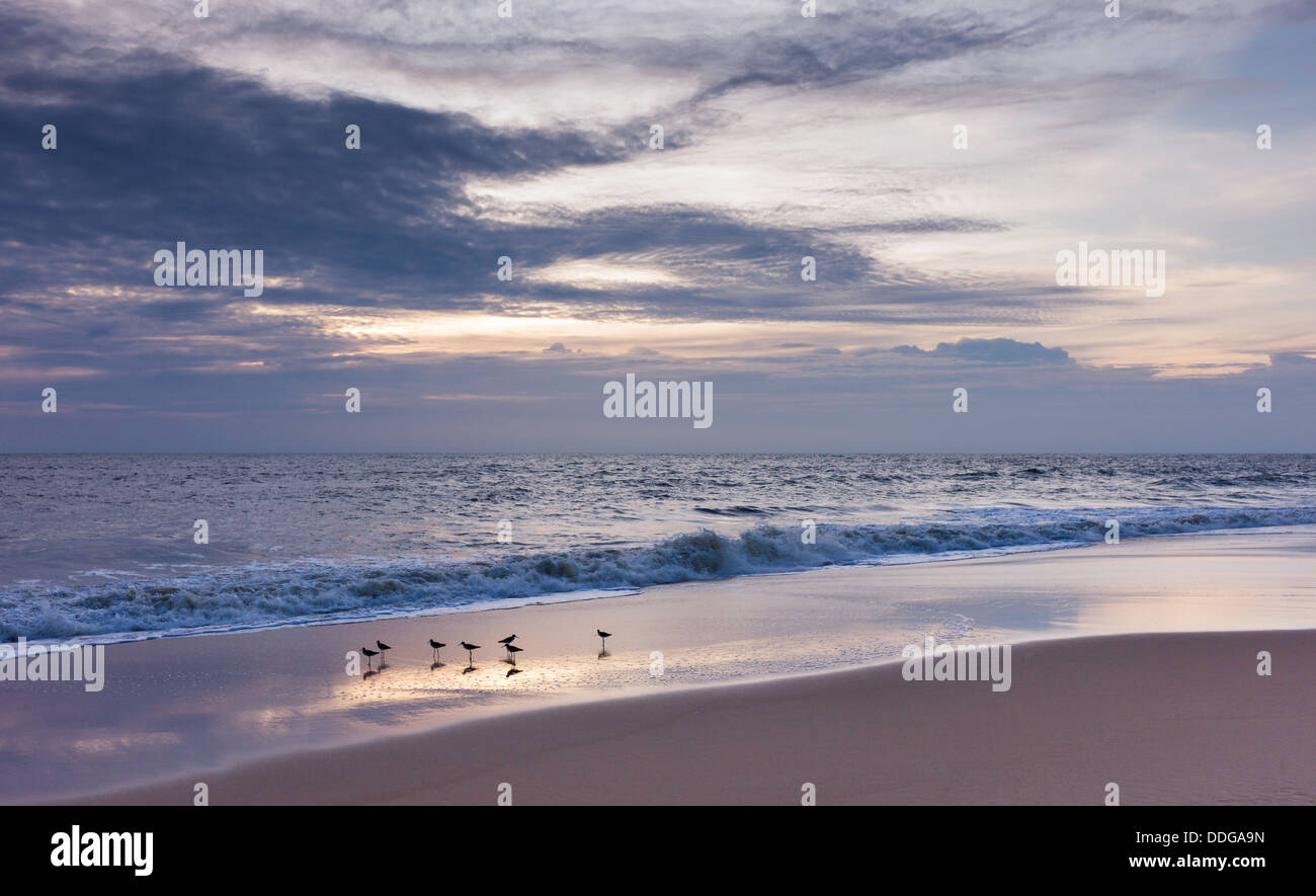 Coucher de soleil sur Thottada Beach, Kannur, Kerala, Inde. Banque D'Images