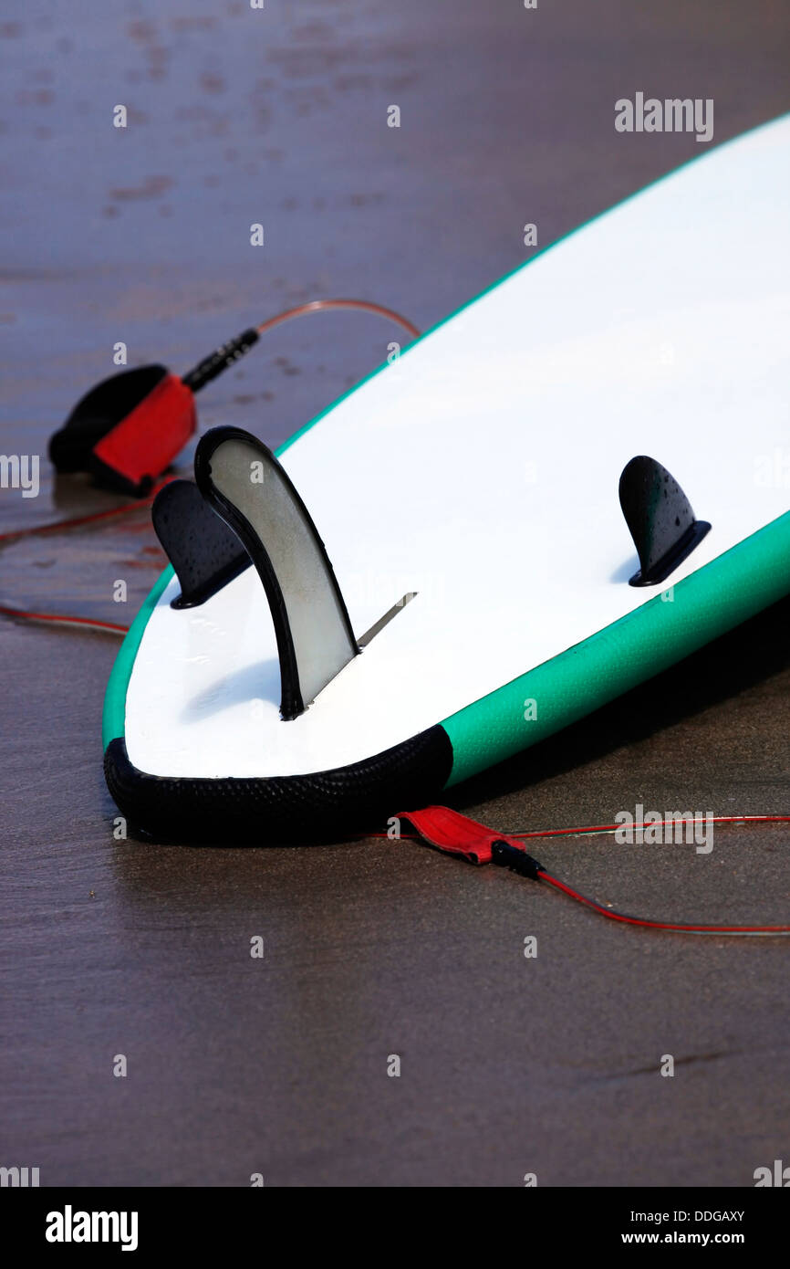 Conseil pour le surf Banque D'Images