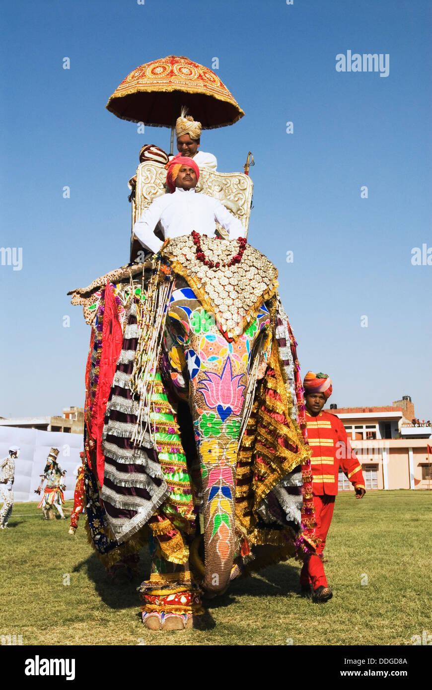 L'homme en robe royale traditionnelle du Rajasthan sur un éléphant, Elephant Festival, Jaipur, Rajasthan, Inde Banque D'Images