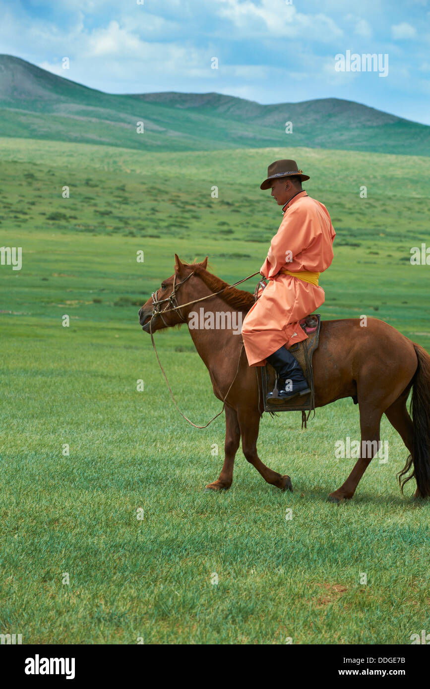 La Mongolie, province Övörkhangaï, Burd, le festival Naadam, chevaux de race Banque D'Images