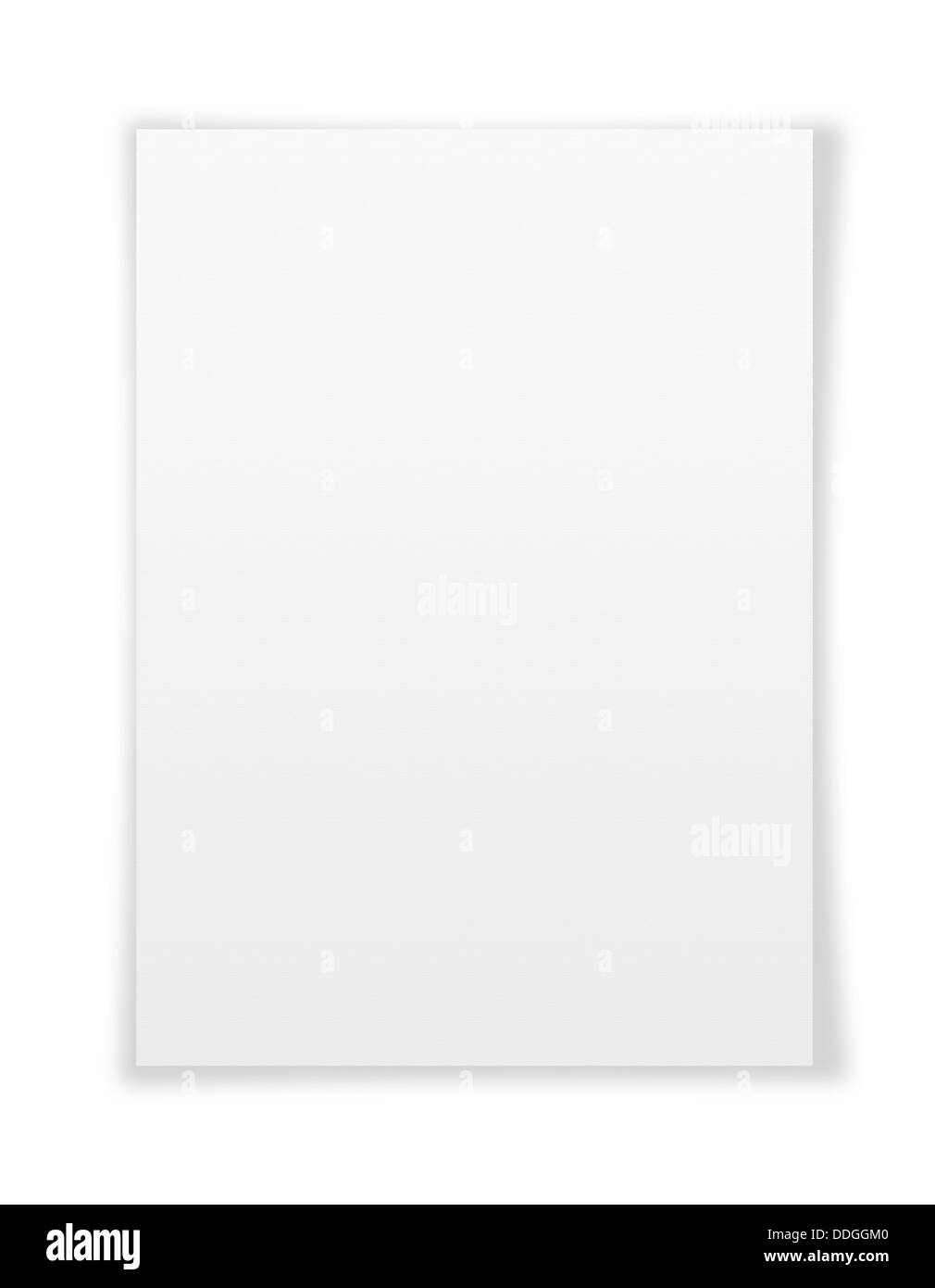 Tenir Le Papier Blanc Du Blanc A4 Photo stock - Image du cache, message:  58696014