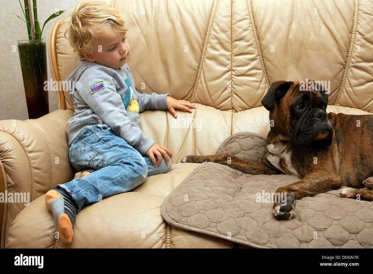 Photos de famille enfant petit enfant garçon à la pet Banque D'Images