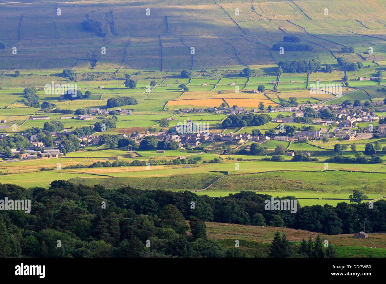 Hawes et Gayle ci-dessous Haut Burtersett Pâturage dans Wensleydale, Yorkshire du Nord, Yorkshire Dales National Park, England, UK. Banque D'Images