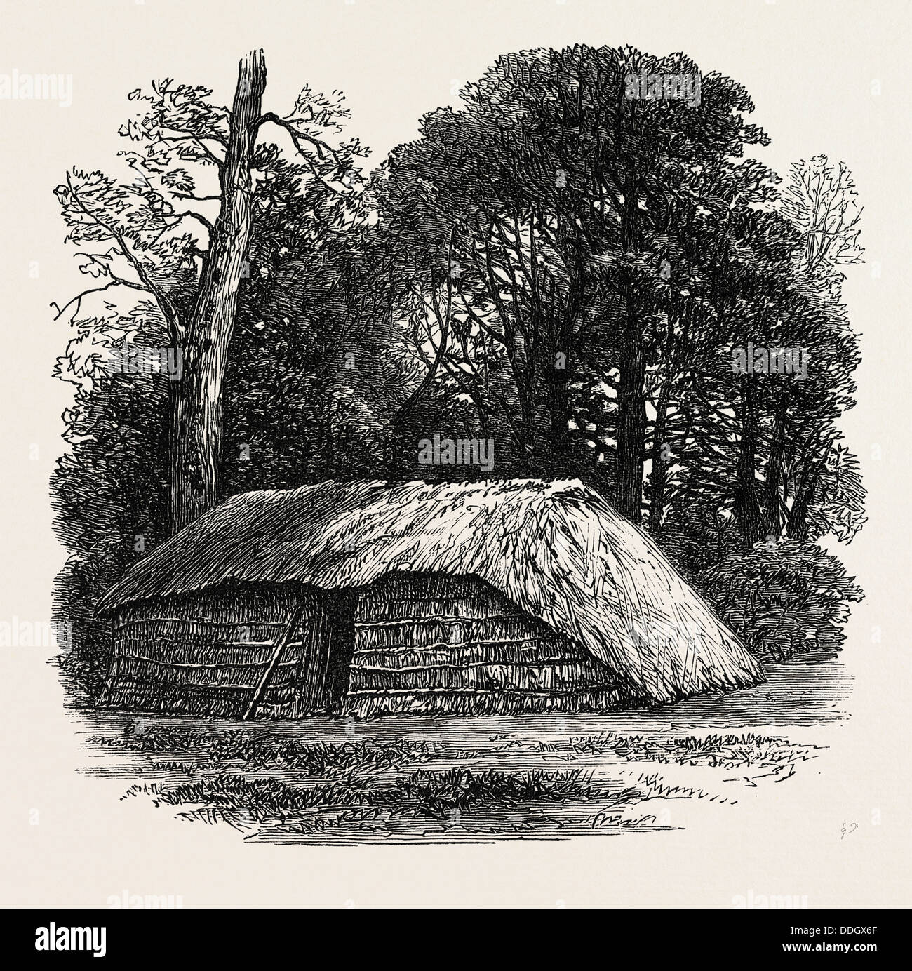 Fac-similé DE LA CABANE CONSTRUITE POUR DR. LIVINGSTONE À MOURIR EN. 1874 Banque D'Images