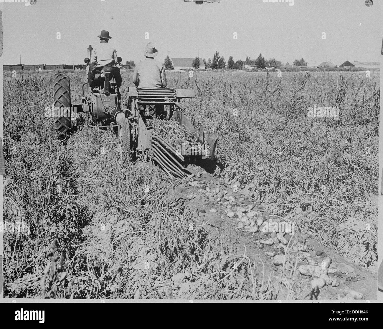 Ancienne arracheuse de pommes de terre Banque de photographies et d — free download