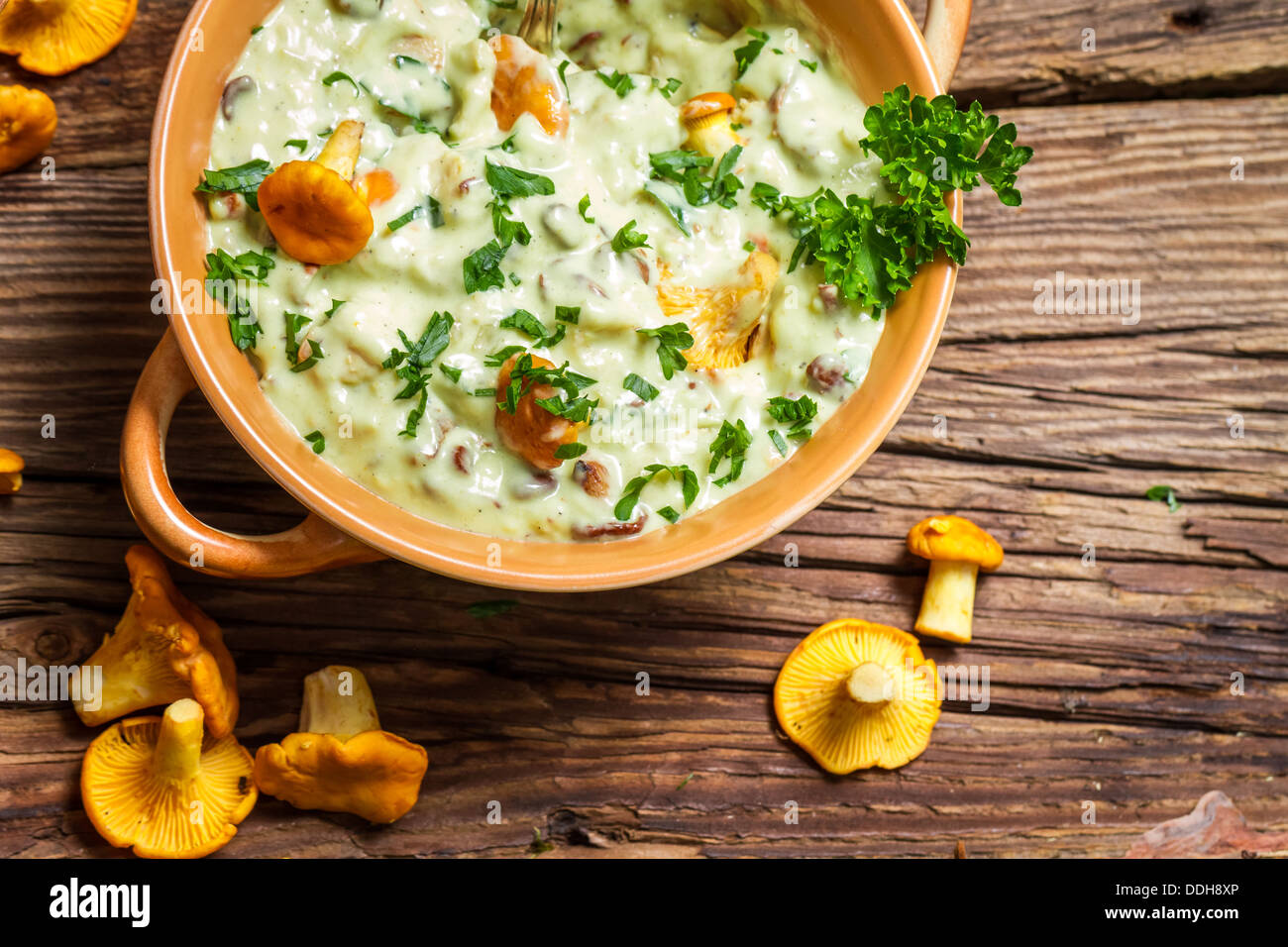 Les chanterelles à la crème de champignons et le persil sont dans la