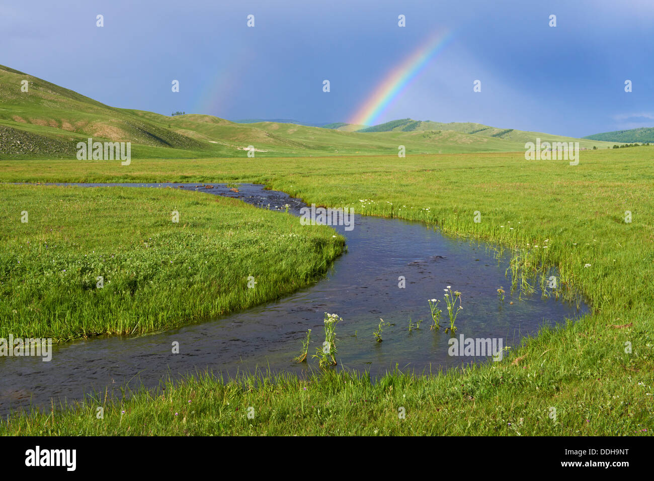 La Mongolie, Khentii province, rivière et rainbow Banque D'Images