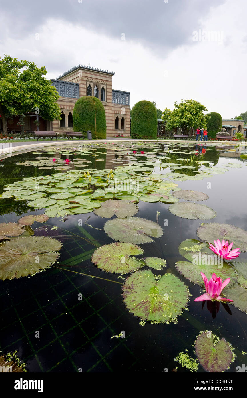Water Lily Pond, Wilhelma Zoo and Botanical Garden Banque D'Images