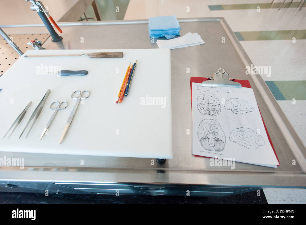 Laboratoire d'autopsie à l'État Bureau des examinateurs médicaux - Morgue Banque D'Images