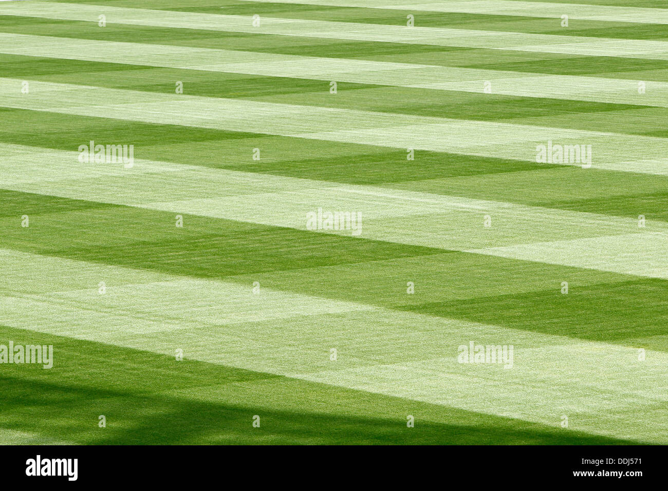 Aviva Stadium, le football, le soccer, la hauteur, de l'herbe Banque D'Images